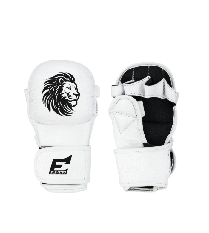 MMA Gloves