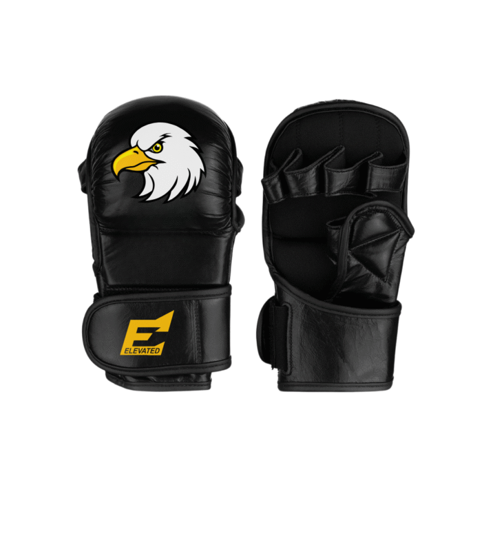 MMA Gloves
