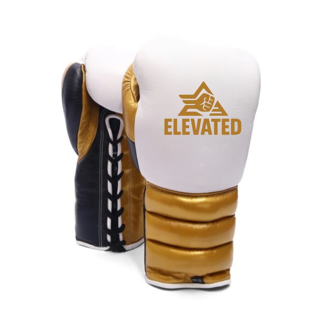 kickboxing boxing training gear with gloves and protective pads