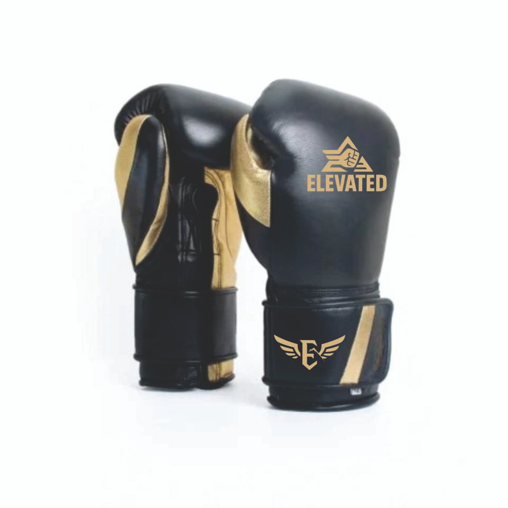 Kickboxing and boxing training gear set with gloves and pads