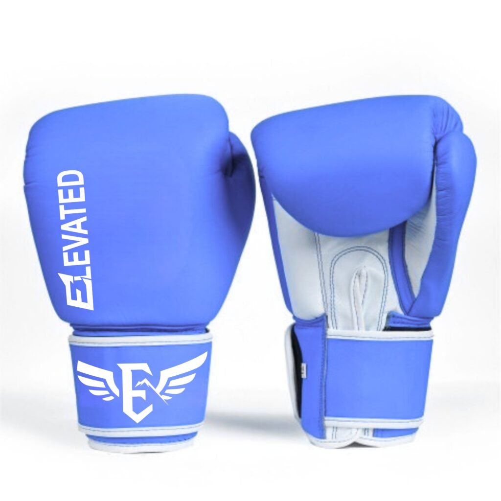 Muay Thai gloves training gear